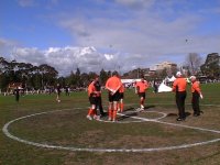 The umpires